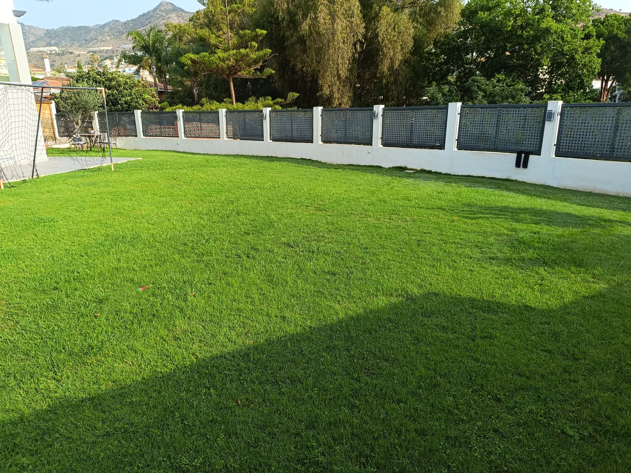 Césped natural cuidado en un jardín