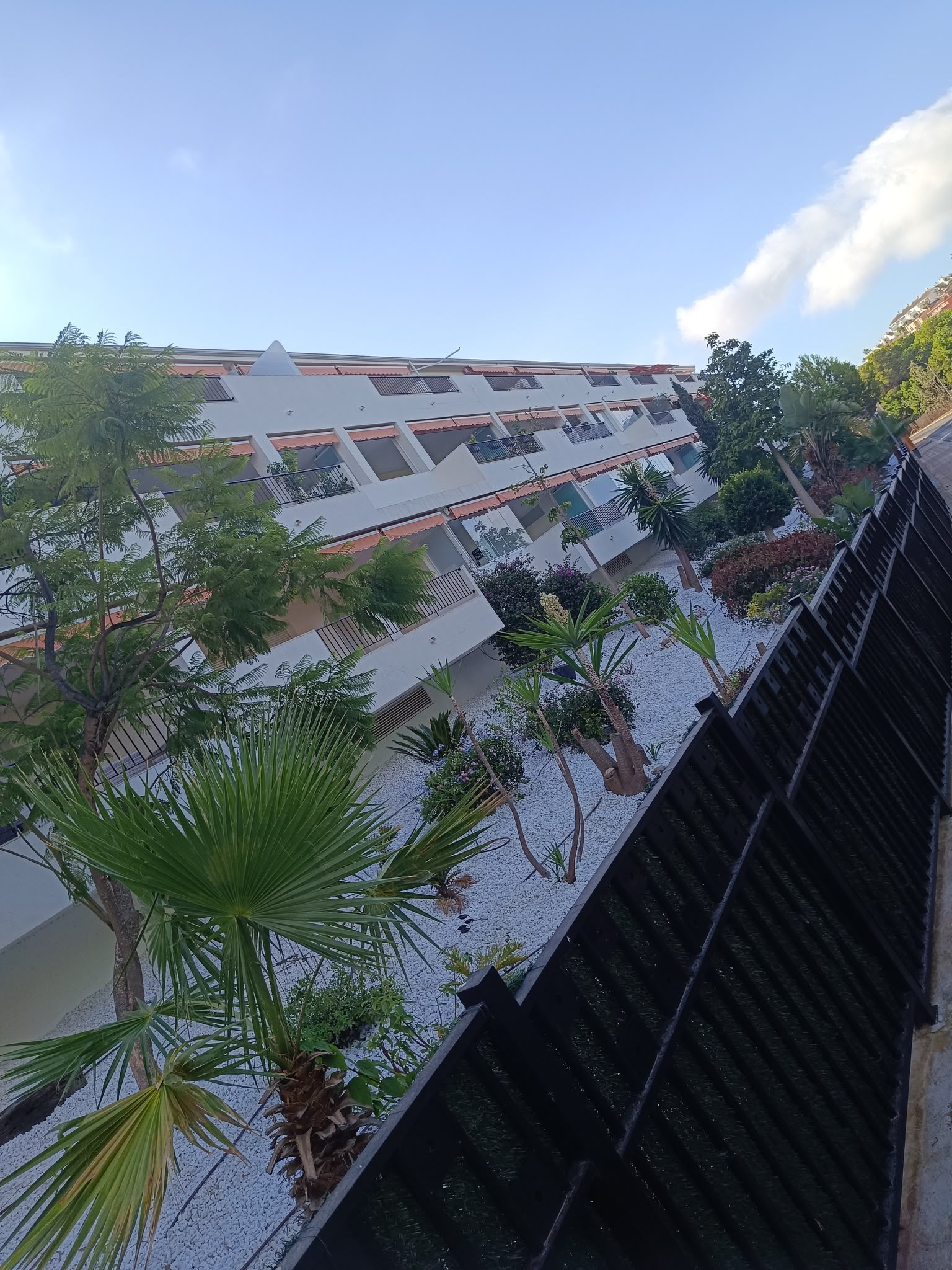 Jardín comunitario con palmeras y grava blanca